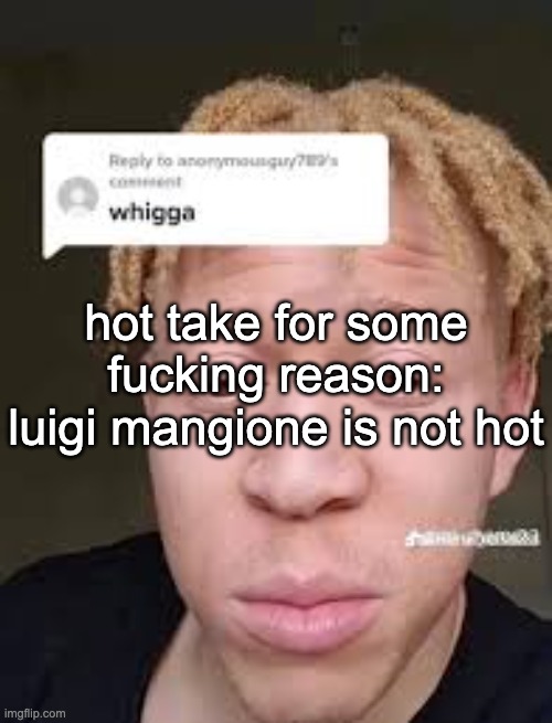 whigga | hot take for some fucking reason: luigi mangione is not hot | image tagged in whigga | made w/ Imgflip meme maker