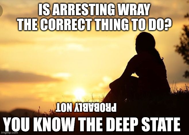 Positive motivation in life | IS ARRESTING WRAY THE CORRECT THING TO DO? PROBABLY NOT YOU KNOW THE DEEP STATE | image tagged in positive motivation in life | made w/ Imgflip meme maker