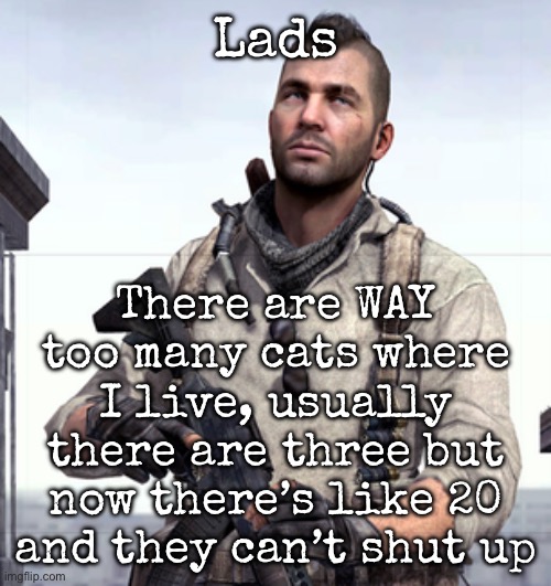 Should I go out and throw a rock at them? | Lads; There are WAY too many cats where I live, usually there are three but now there’s like 20 and they can’t shut up | image tagged in cod soap,msmg,cats | made w/ Imgflip meme maker