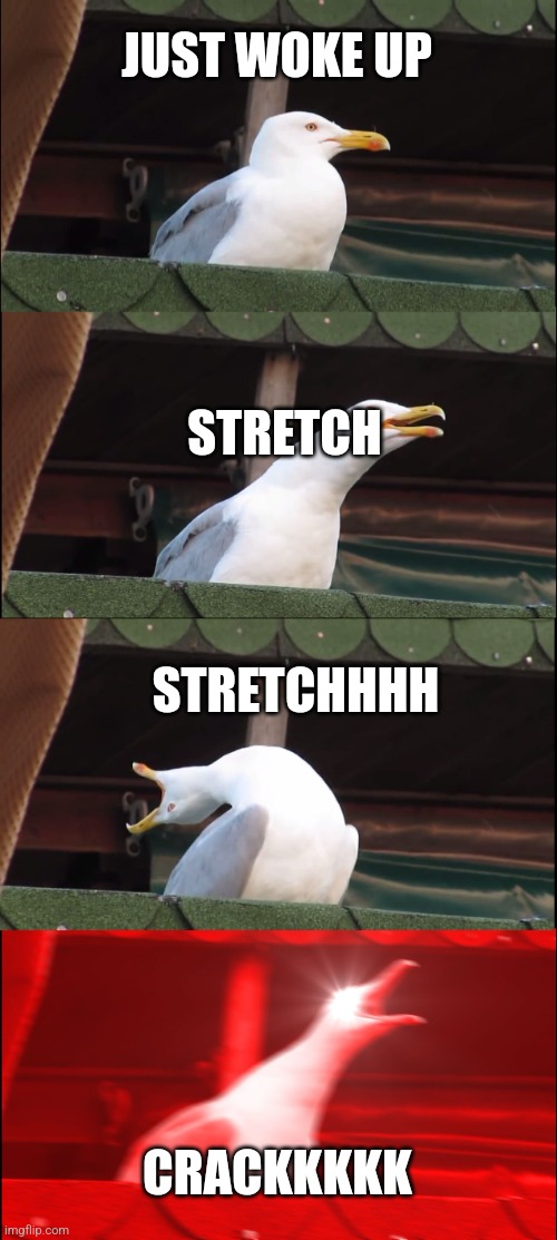 Inhaling Seagull | JUST WOKE UP; STRETCH; STRETCHHHH; CRACKKKKK | image tagged in memes,inhaling seagull | made w/ Imgflip meme maker