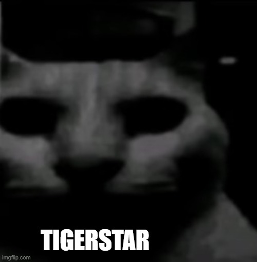 TIGERSTAR | made w/ Imgflip meme maker