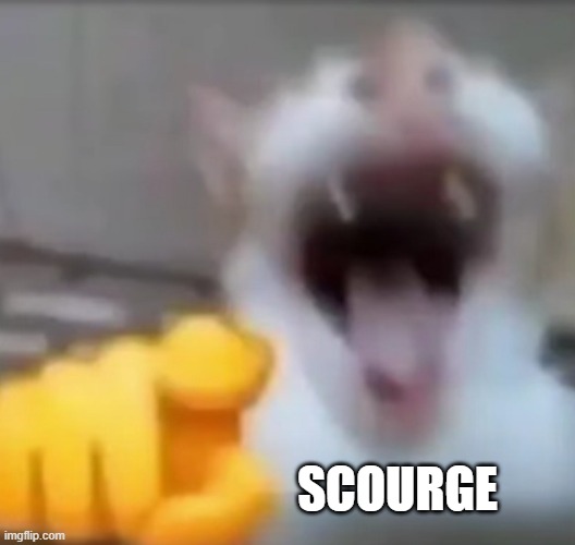 Cat pointing and laughing | SCOURGE | image tagged in cat pointing and laughing | made w/ Imgflip meme maker