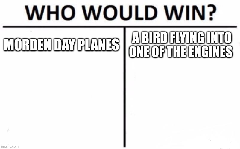 Who Would Win? Meme | MORDEN DAY PLANES A BIRD FLYING INTO ONE OF THE ENGINES | image tagged in memes,who would win | made w/ Imgflip meme maker