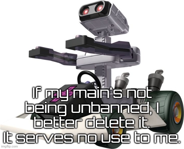 R.O.B. Mario Kart DS | If my main's not being unbanned, I better delete it. It serves no use to me. | image tagged in r o b mario kart ds | made w/ Imgflip meme maker