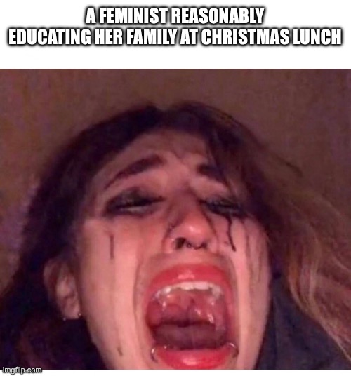 00001 | A FEMINIST REASONABLY EDUCATING HER FAMILY AT CHRISTMAS LUNCH | image tagged in women,lol,feminism,woke | made w/ Imgflip meme maker