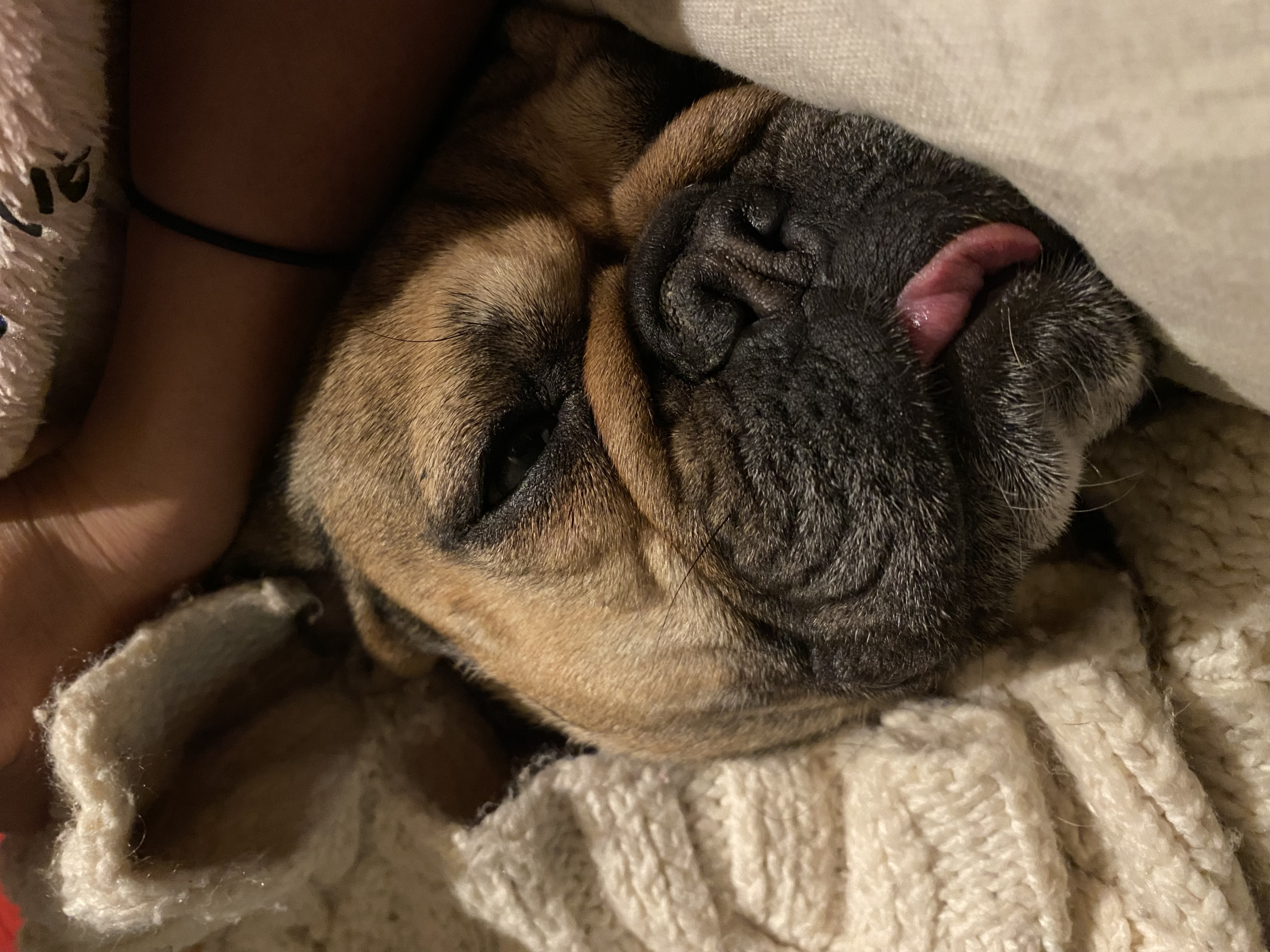 High Quality boop Blank Meme Template