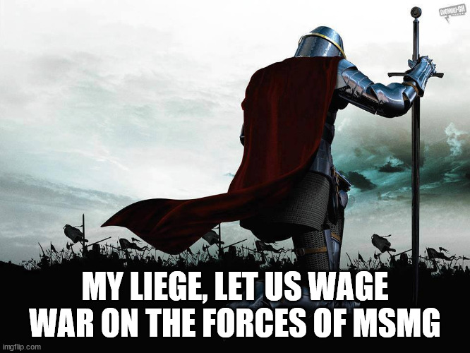 Armor soldier | MY LIEGE, LET US WAGE WAR ON THE FORCES OF MSMG | image tagged in armor soldier | made w/ Imgflip meme maker