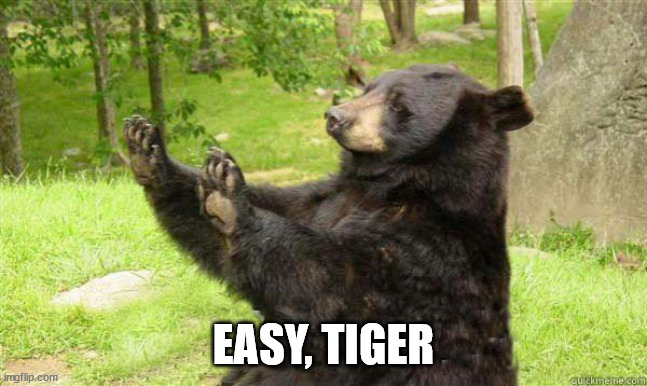 How about no bear | EASY, TIGER | image tagged in how about no bear | made w/ Imgflip meme maker