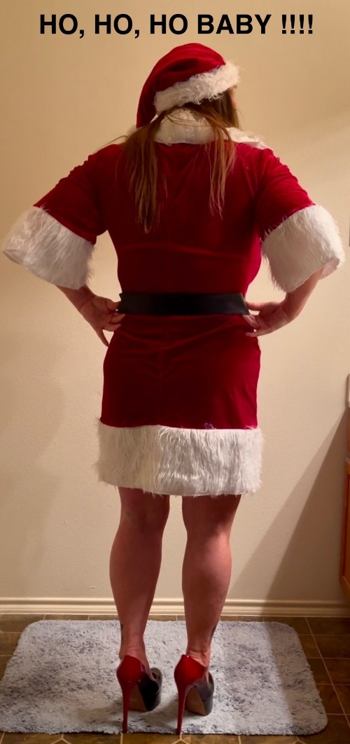 HO, HO, HO | image tagged in sexy legs,high heels,hot body,sexy santa,cosplay | made w/ Imgflip meme maker