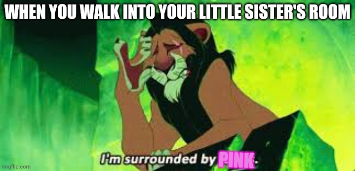 i'm surrounded by idiots | WHEN YOU WALK INTO YOUR LITTLE SISTER'S ROOM; PINK | image tagged in i'm surrounded by idiots | made w/ Imgflip meme maker