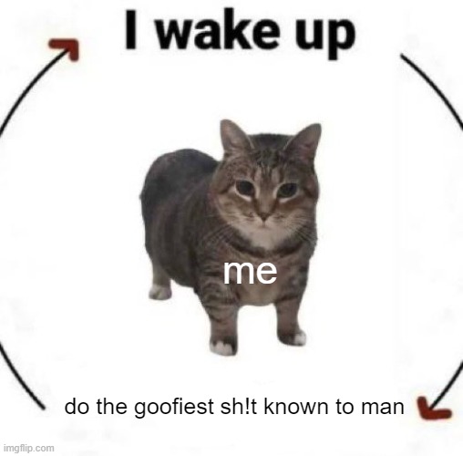 Me everyday: | me; do the goofiest sh!t known to man | image tagged in i wake up cat | made w/ Imgflip meme maker