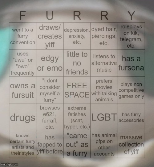 who tf created this | image tagged in furry bingo | made w/ Imgflip meme maker