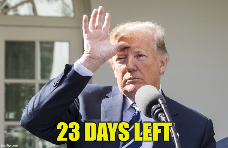 Nyah nyah nyah nyah nyah nyah | 23 DAYS LEFT | image tagged in trump,maga,trump inauguration,inauguration,deportation,border wall | made w/ Imgflip meme maker