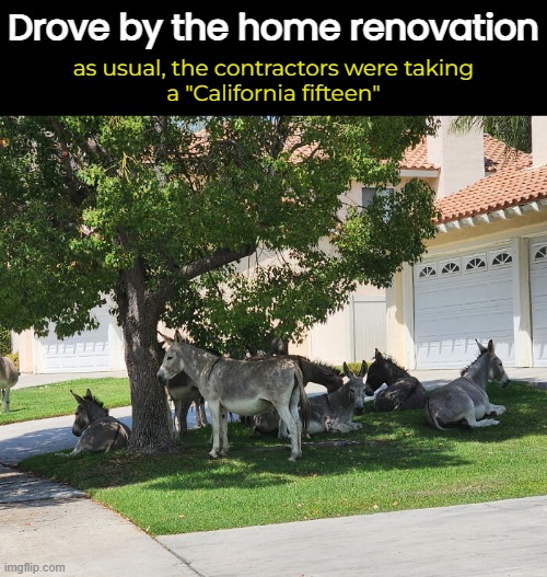 A three-month project has taken over a year and THIS is why: | Drove by the home renovation; as usual, the contractors were taking
a "California fifteen" | image tagged in funny memes,home,contractors | made w/ Imgflip meme maker