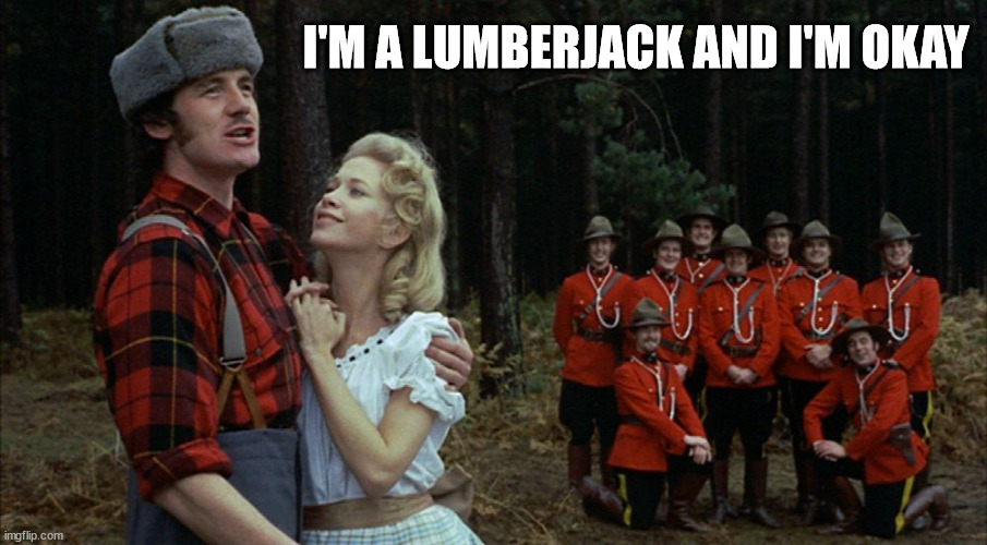 monty python lumberjack | I'M A LUMBERJACK AND I'M OKAY | image tagged in monty python lumberjack | made w/ Imgflip meme maker