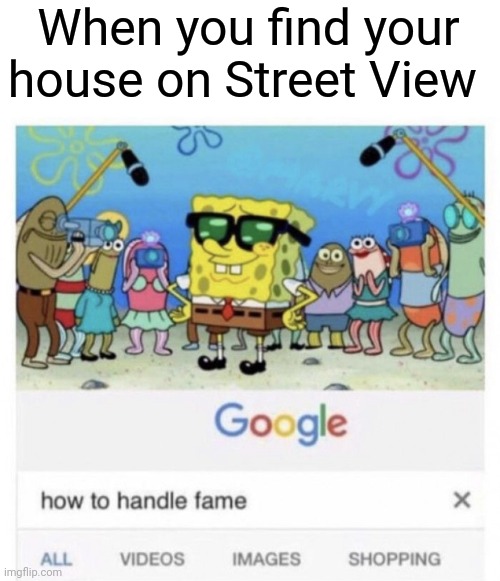 How to handle fame | When you find your house on Street View | image tagged in how to handle fame | made w/ Imgflip meme maker