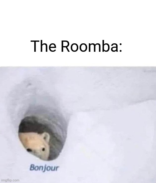 Bonjour | The Roomba: | image tagged in bonjour | made w/ Imgflip meme maker