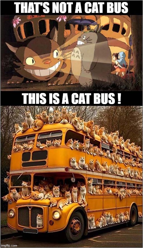 Outdoing My Neighbour Totoro's Cat Bus ! | THAT'S NOT A CAT BUS; THIS IS A CAT BUS ! | image tagged in cats,cat bus,my neighbour totoro | made w/ Imgflip meme maker