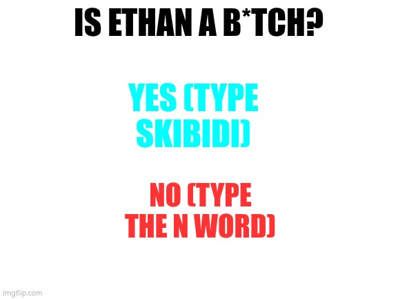 is ethan a bitch??? | IS ETHAN A B*TCH? YES (TYPE SKIBIDI); NO (TYPE THE N WORD) | image tagged in blank white template,ethan | made w/ Imgflip meme maker