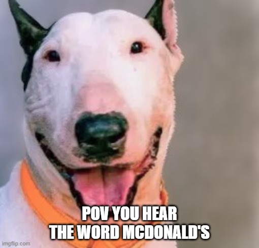 McDonald's dog | POV YOU HEAR THE WORD MCDONALD'S | image tagged in happy dog,dog | made w/ Imgflip meme maker