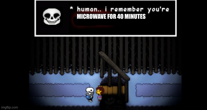 Human i remember your X | MICROWAVE FOR 40 MINUTES | image tagged in human i remember your x | made w/ Imgflip meme maker