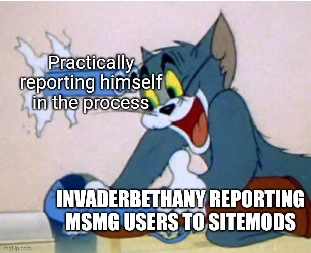 Self report | Practically reporting himself in the process; INVADERBETHANY REPORTING MSMG USERS TO SITEMODS | image tagged in tom and jerry,slander,msmg,memes | made w/ Imgflip meme maker