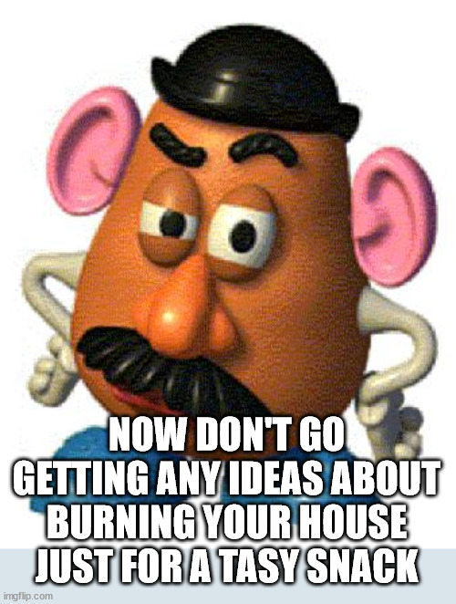 Mr Potato Head | NOW DON'T GO GETTING ANY IDEAS ABOUT BURNING YOUR HOUSE JUST FOR A TASY SNACK | image tagged in mr potato head | made w/ Imgflip meme maker