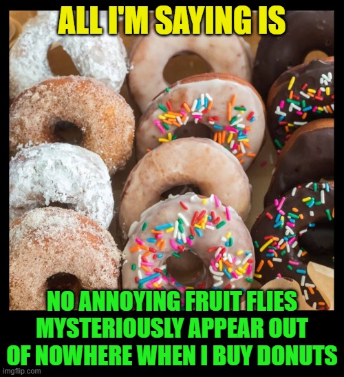 ALL I'M SAYING IS; NO ANNOYING FRUIT FLIES MYSTERIOUSLY APPEAR OUT OF NOWHERE WHEN I BUY DONUTS | image tagged in donuts,dunkin donuts,sweets,pests,bugs,imgflip | made w/ Imgflip meme maker