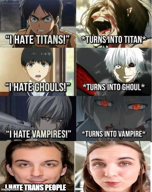 I hate Titans! turns into Titan | I HATE TRANS PEOPLE | image tagged in i hate titans turns into titan | made w/ Imgflip meme maker