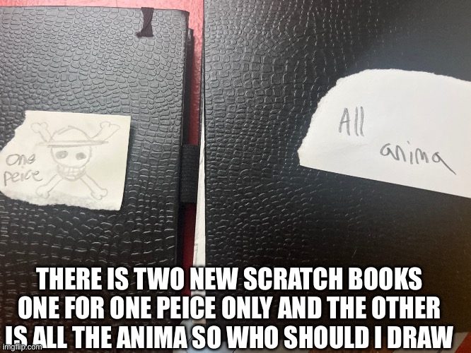 Who should I draw | THERE IS TWO NEW SCRATCH BOOKS ONE FOR ONE PEICE ONLY AND THE OTHER IS ALL THE ANIMA SO WHO SHOULD I DRAW | made w/ Imgflip meme maker