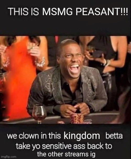 We clown in this mf | MSMG PEASANT!!! kingdom; the other streams ig | image tagged in we clown in this mf,msmg,funny memes,kevin hart,imgflip,memes | made w/ Imgflip meme maker