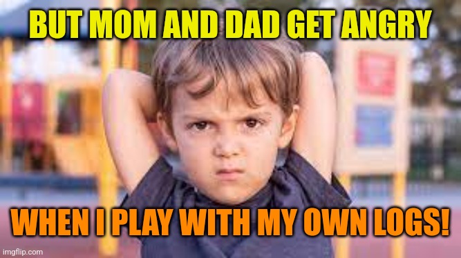 Angry Kid | BUT MOM AND DAD GET ANGRY WHEN I PLAY WITH MY OWN LOGS! | image tagged in angry kid | made w/ Imgflip meme maker