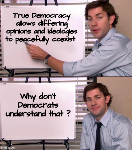 Hypocrisy , That's all you got ? | True Democracy allows differing opinions and ideologies to peacefully coexist; Why don't Democrats understand that ? | image tagged in jim halpert explains,freedom,well yes but actually no,monarchy,one party,it's ok when we do it | made w/ Imgflip meme maker