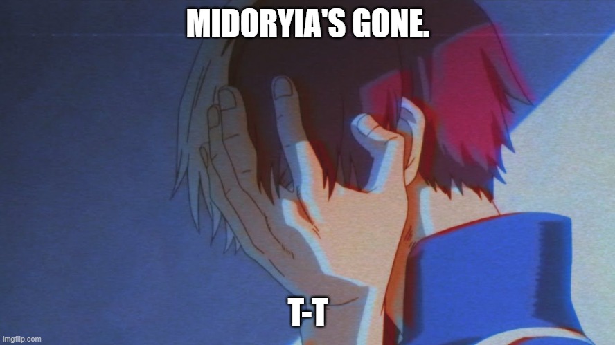 NOOOOOOOOOOOOOOOOO. | MIDORYIA'S GONE. T-T | image tagged in noooooooooooooooooooooooo,nooooooooo,deku,i'll never forget you | made w/ Imgflip meme maker