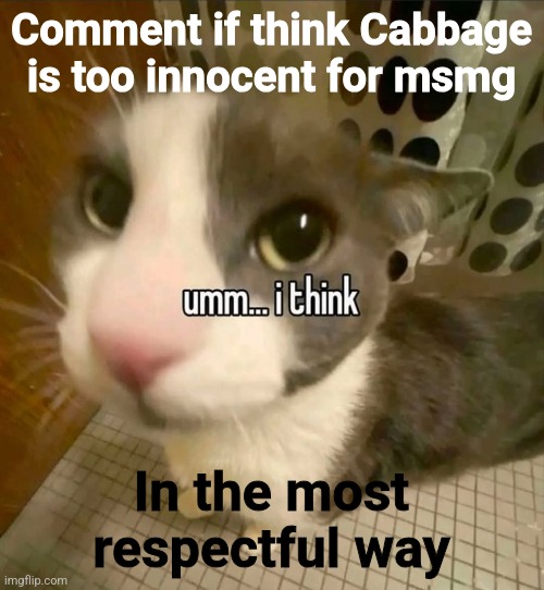 Comment if think Cabbage is too innocent for msmg; In the most respectful way | made w/ Imgflip meme maker