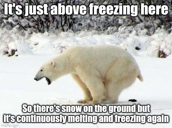 it's not peak | It's just above freezing here; So there's snow on the ground but it's continuously melting and freezing again | image tagged in polar bear shits in the snow | made w/ Imgflip meme maker