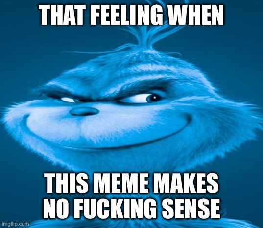 Blue Grinch | THAT FEELING WHEN THIS MEME MAKES NO FUCKING SENSE | image tagged in blue grinch | made w/ Imgflip meme maker