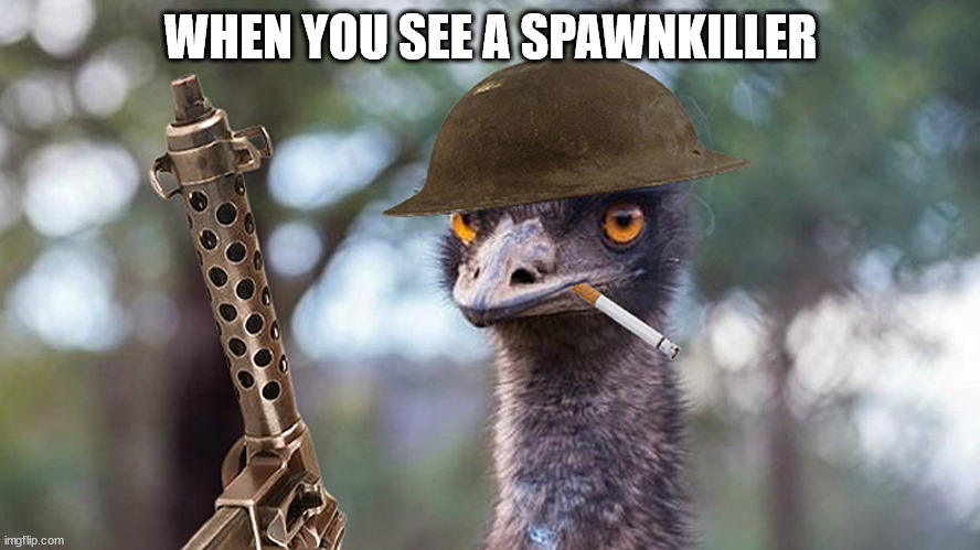 1 | WHEN YOU SEE A SPAWNKILLER | image tagged in annoyed,emu | made w/ Imgflip meme maker