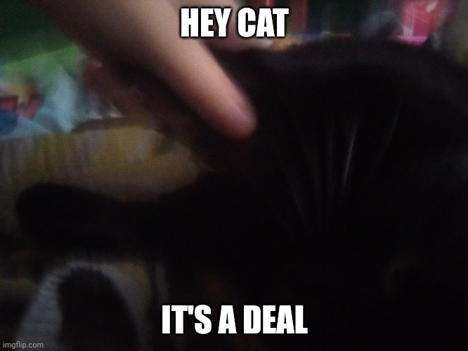 Handshake | HEY CAT; IT'S A DEAL | made w/ Imgflip meme maker