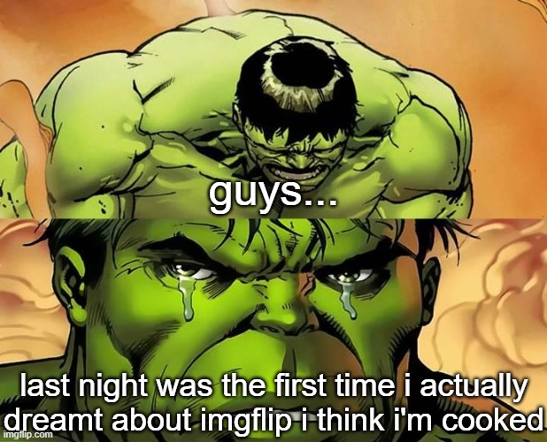 it wasn't much, just a glipse. pretty sure all that i remember was me losing 54 followers or smth | guys... last night was the first time i actually dreamt about imgflip i think i'm cooked | image tagged in crying hulk | made w/ Imgflip meme maker