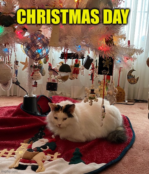 CHRISTMAS DAY | made w/ Imgflip meme maker