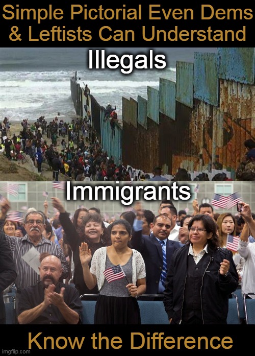 English is easy to comprehend for most of us (who aren't lawbreaking Libs)! | Simple Pictorial Even Dems
& Leftists Can Understand; Illegals; Immigrants; Know the Difference | image tagged in liberals vs conservatives,wrong vs right,illegal vs legal,law and order,english for dummies | made w/ Imgflip meme maker