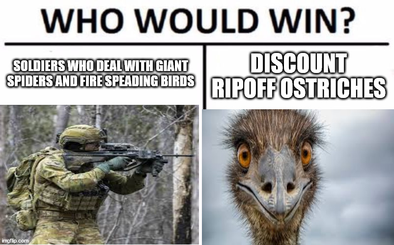 Who Would Win? Meme | SOLDIERS WHO DEAL WITH GIANT SPIDERS AND FIRE SPEADING BIRDS; DISCOUNT RIPOFF OSTRICHES | image tagged in memes,who would win | made w/ Imgflip meme maker