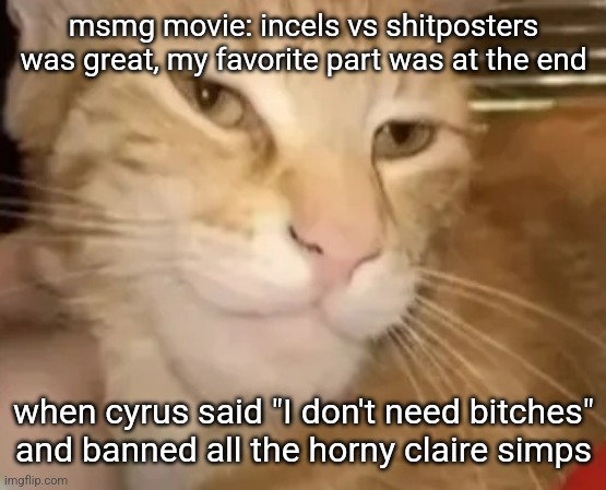 cat mewing | msmg movie: incels vs shitposters was great, my favorite part was at the end; when cyrus said "I don't need bitches" and banned all the horny claire simps | image tagged in cat mewing | made w/ Imgflip meme maker