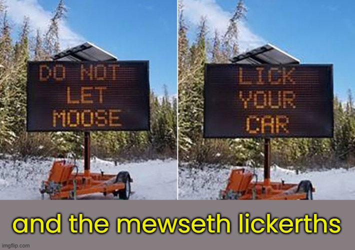 and the mewseth lickerths | made w/ Imgflip meme maker