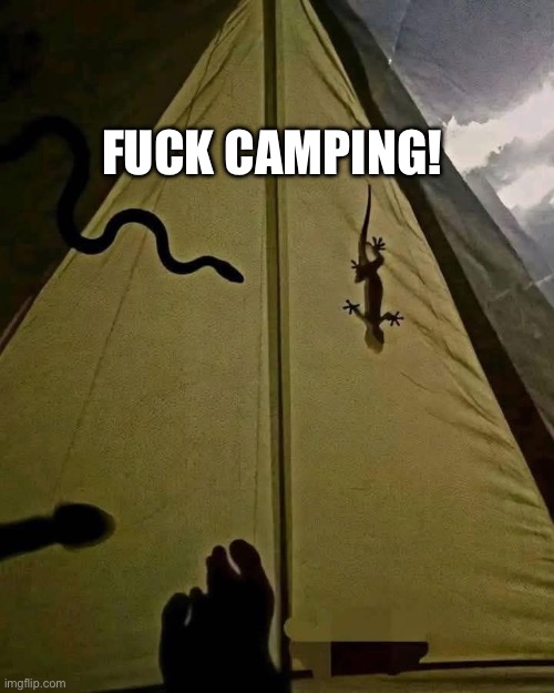 Fuck camping | FUCK CAMPING! | image tagged in camping,surprise,home alone,lost in the woods,trap,scared | made w/ Imgflip meme maker