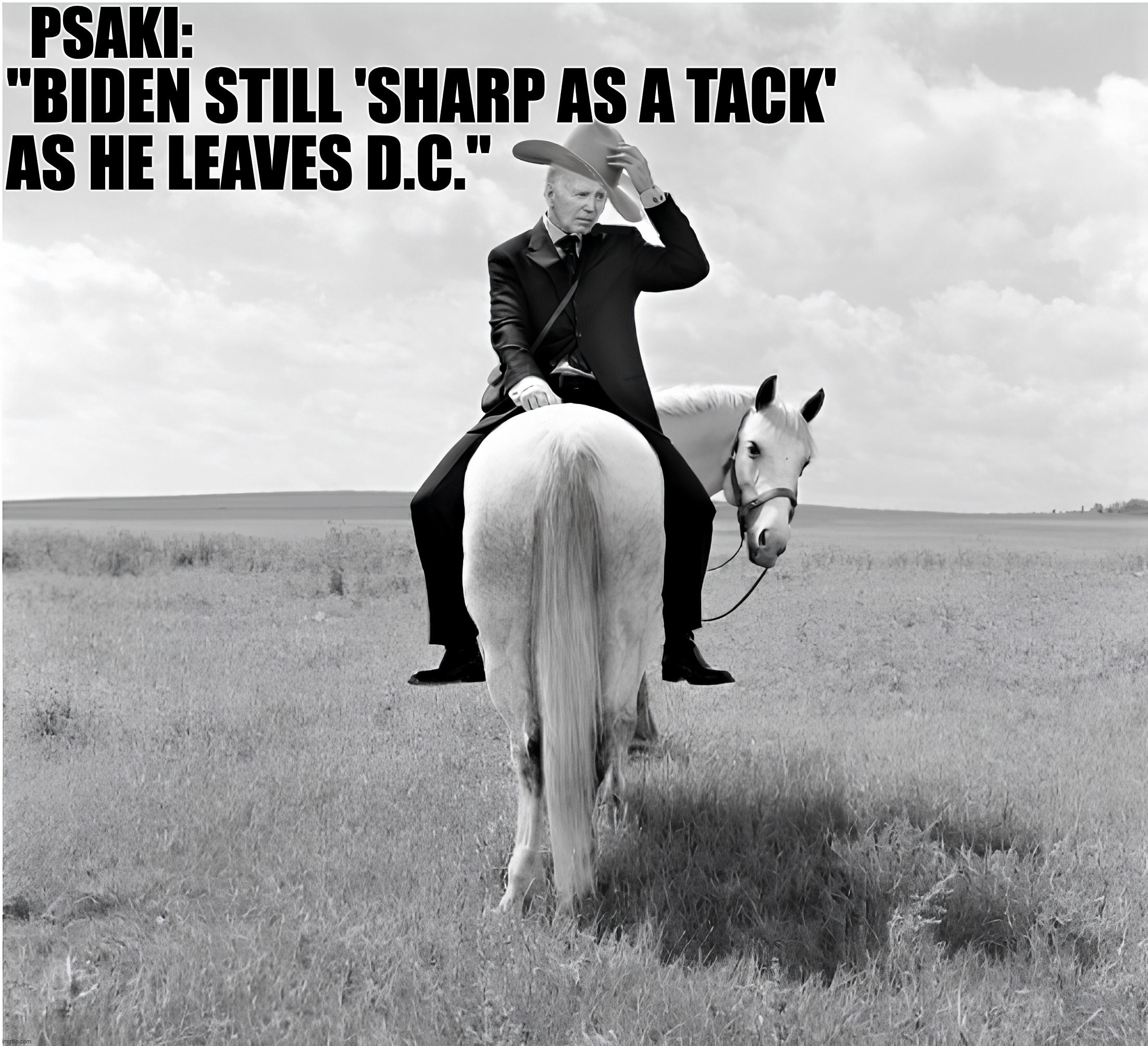 Obama's Stooges Lying All the Way Out the Door | PSAKI:; "BIDEN STILL 'SHARP AS A TACK'
AS HE LEAVES D.C." | image tagged in jen psaki,msdnc,obama liar | made w/ Imgflip meme maker