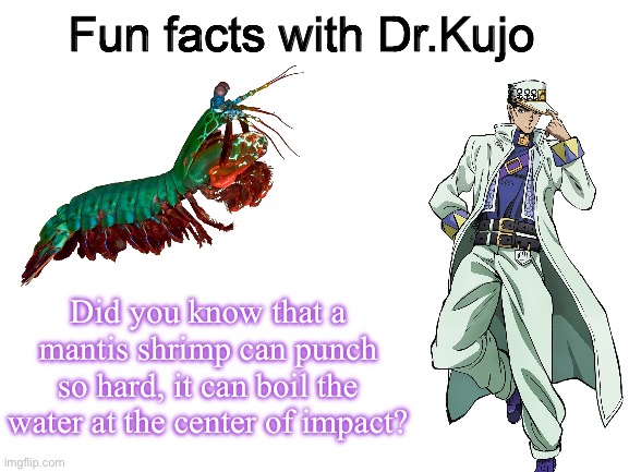 *Aquatic yare yare daze* | Fun facts with Dr.Kujo; Did you know that a mantis shrimp can punch so hard, it can boil the water at the center of impact? | image tagged in jojo's bizarre adventure | made w/ Imgflip meme maker