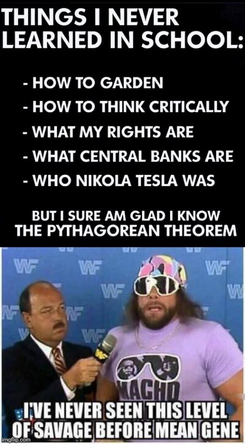 What they don't teach you in school | image tagged in macho man randy savage,school | made w/ Imgflip meme maker