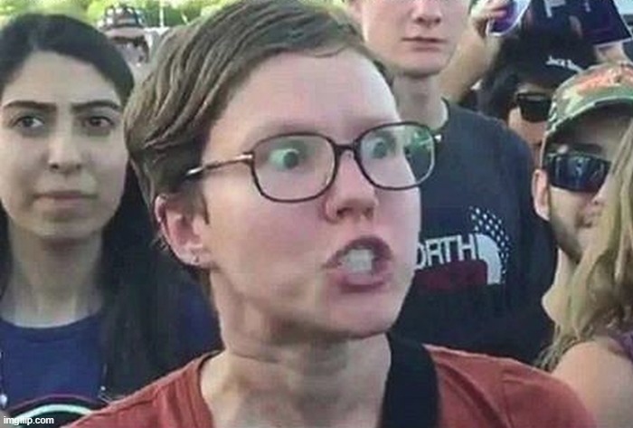 Triggered Liberal | image tagged in triggered liberal | made w/ Imgflip meme maker